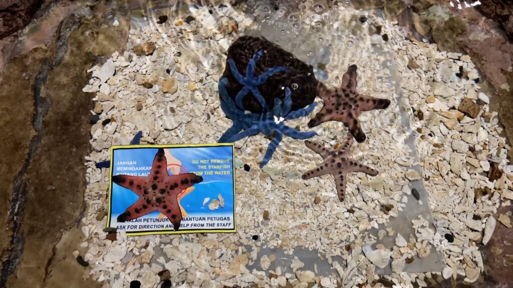 アンチョール水族館