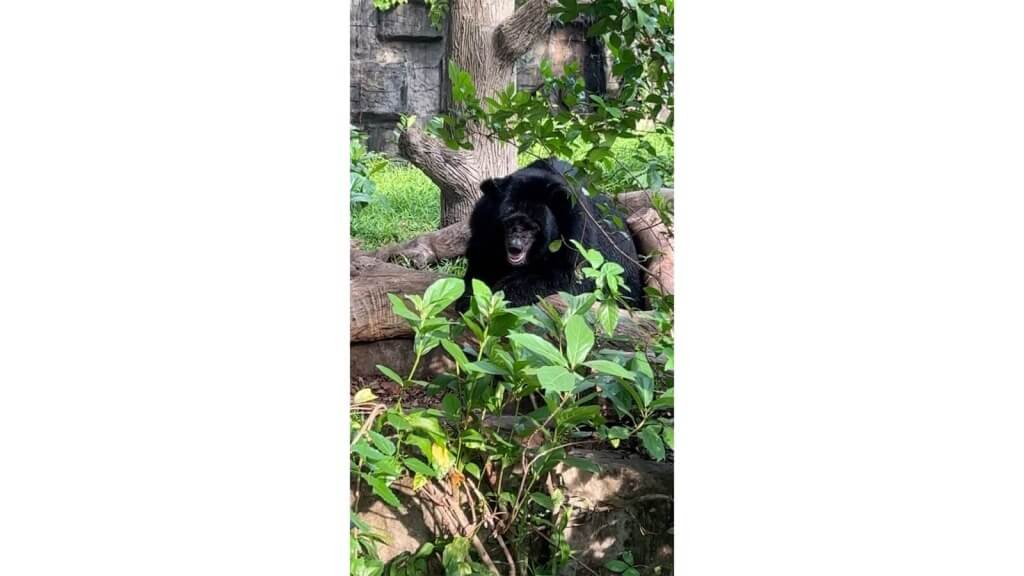 サイゴン動植物園