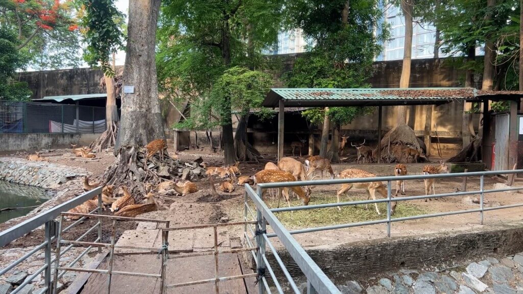 サイゴン動植物園