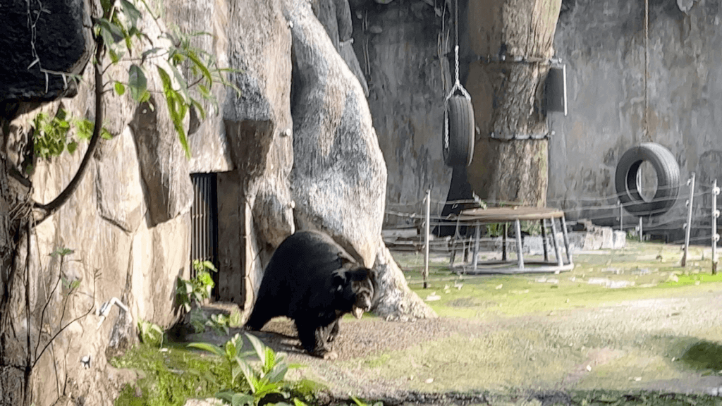 サイゴン動植物園