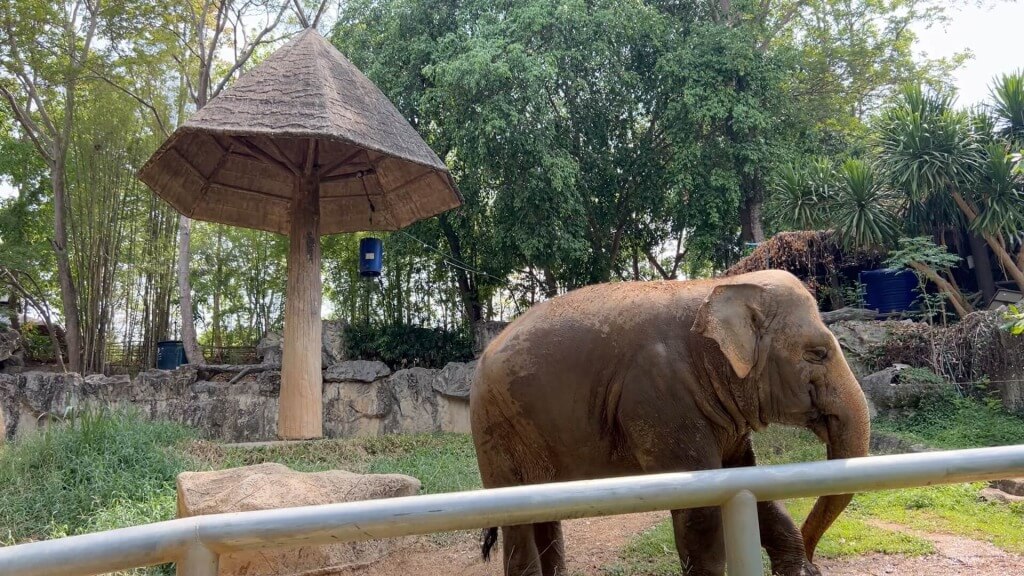 チェンマイ動物園